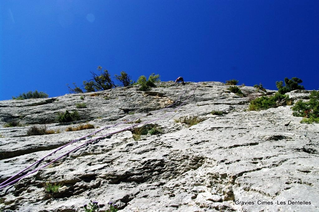 Dentelles de Montmirail