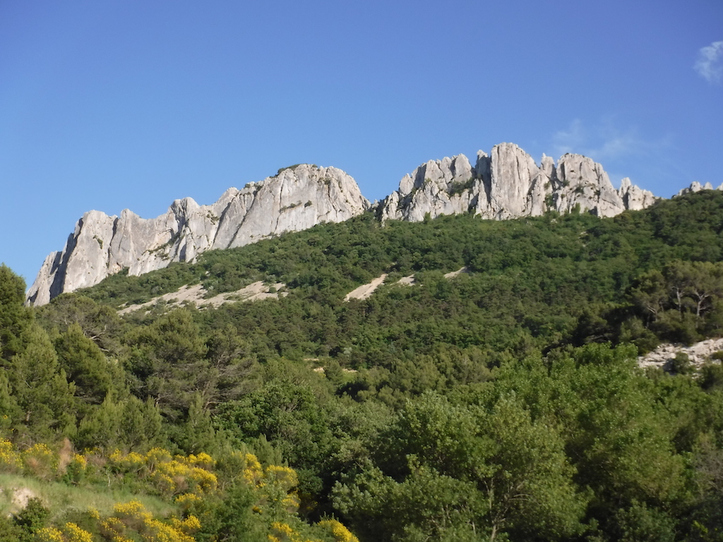 dentelles
